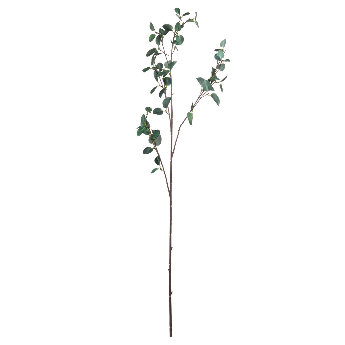 Tall Eucalyptus Stem - GREEN