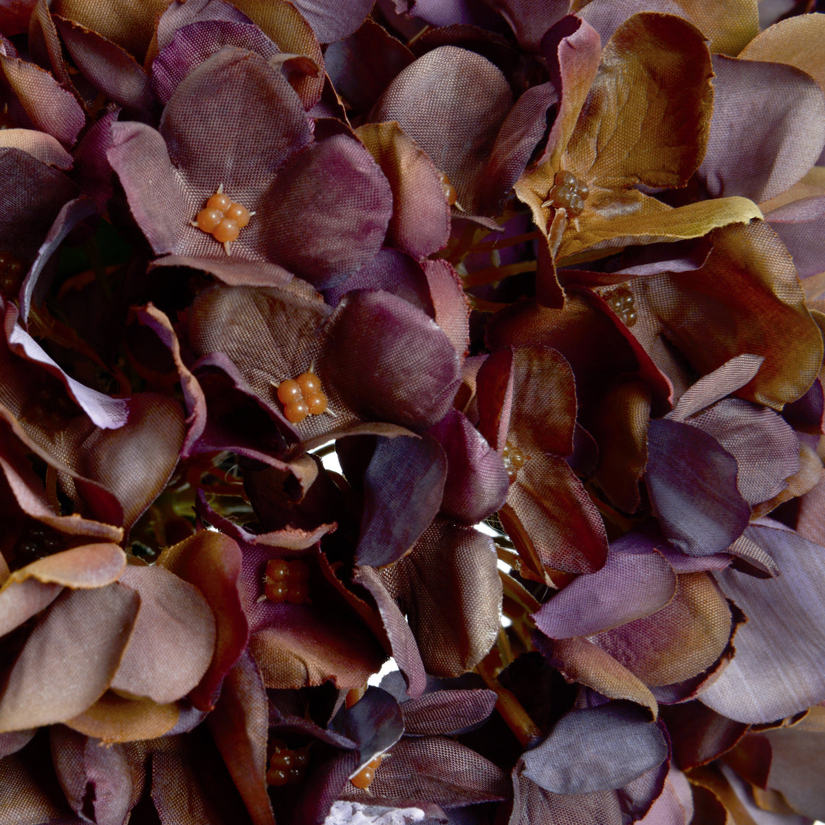 Autumn Coffee Hydrangea - RED