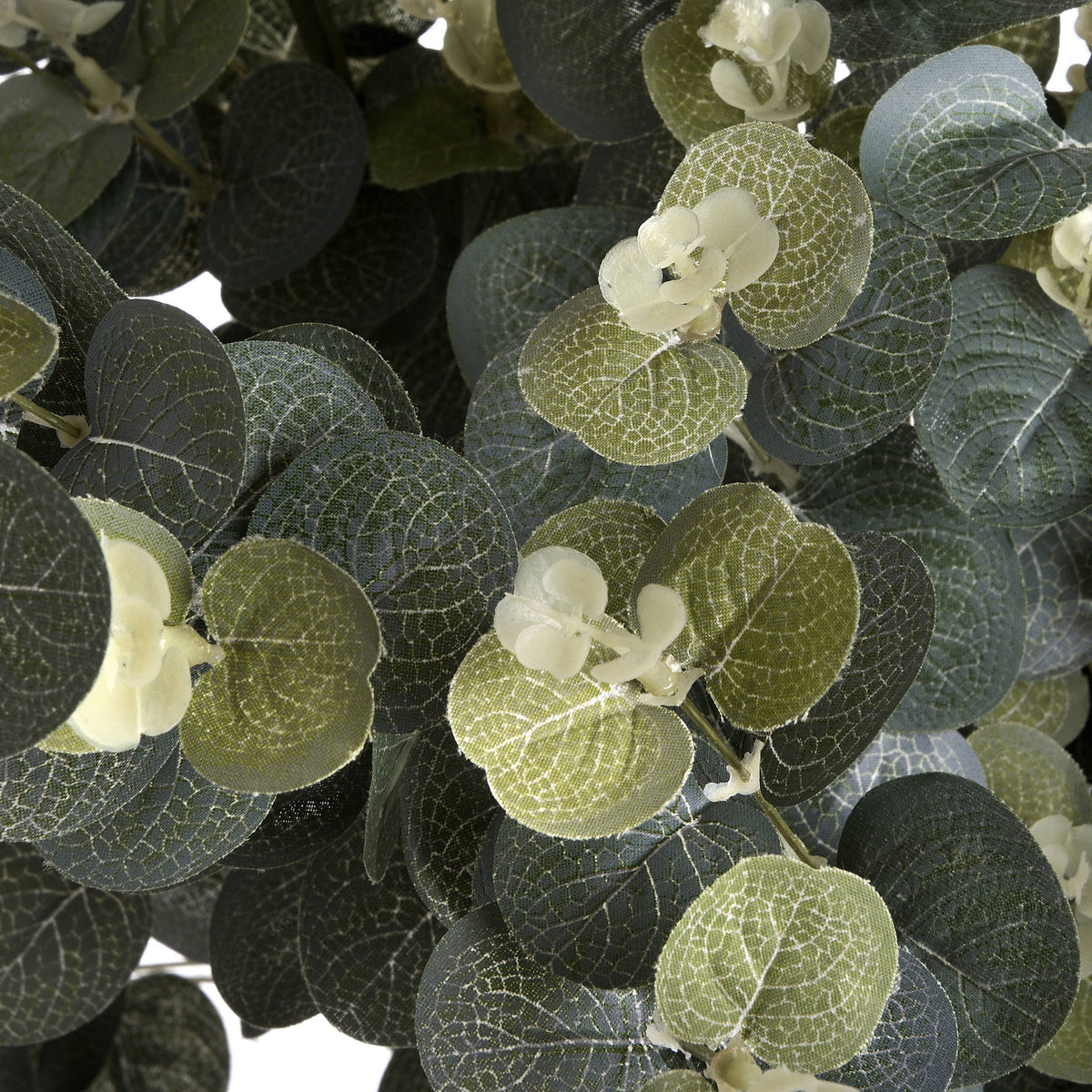 Eucalyptus Spray - GREEN