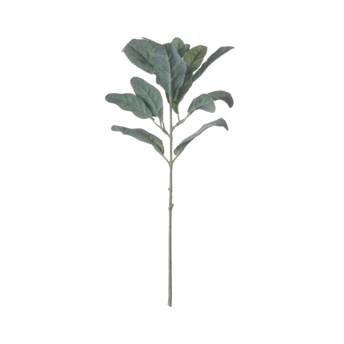 Lambs Ear Spray - GREEN