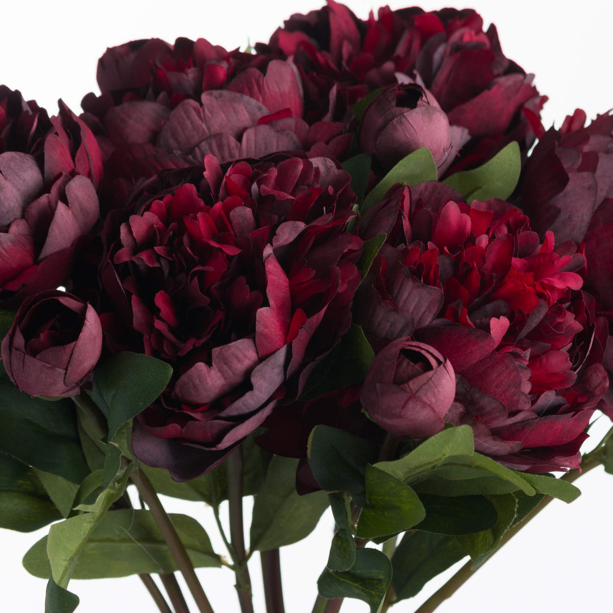 Burgundy Peony Rose - RED