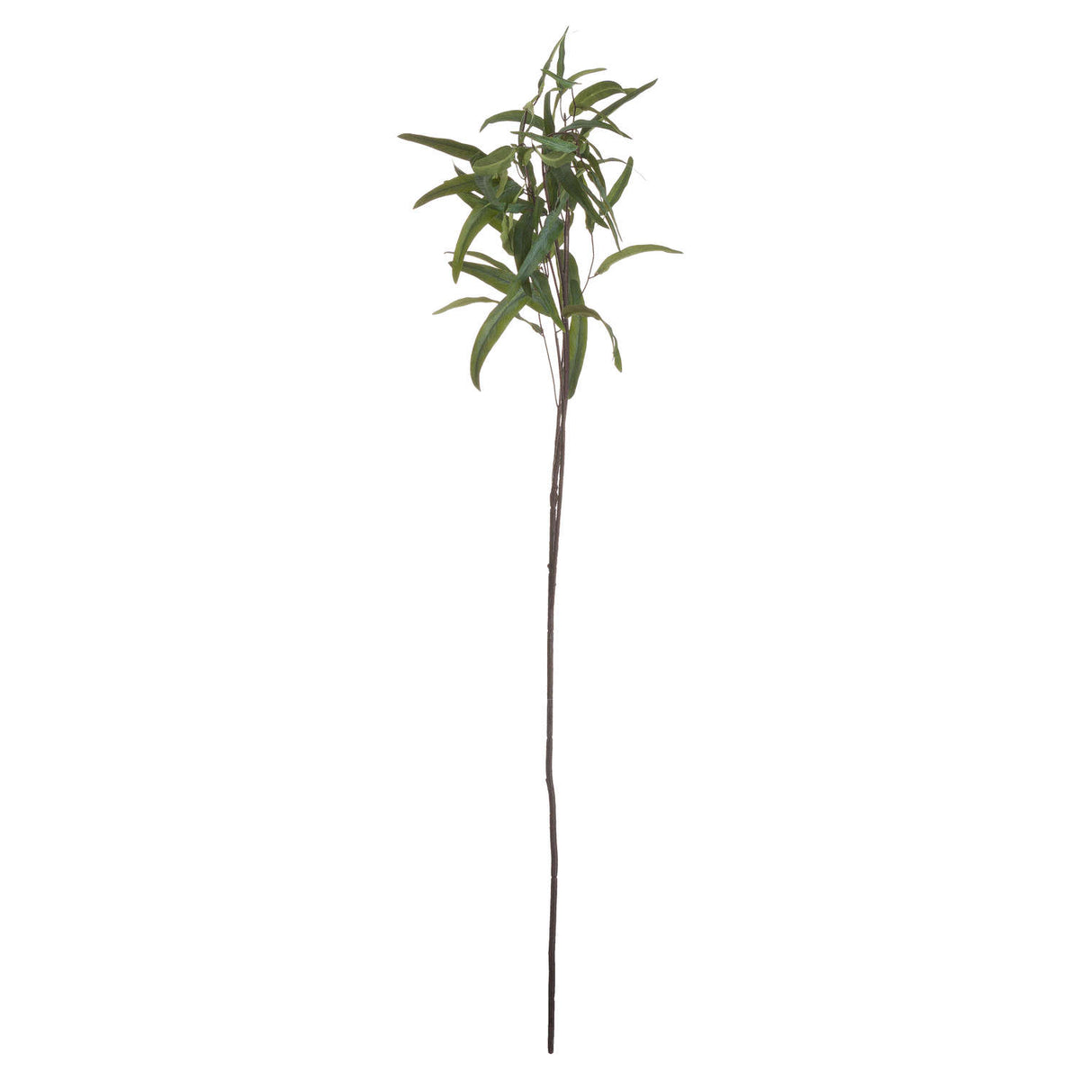 Eucalyptus Nicholii Spray - GREEN