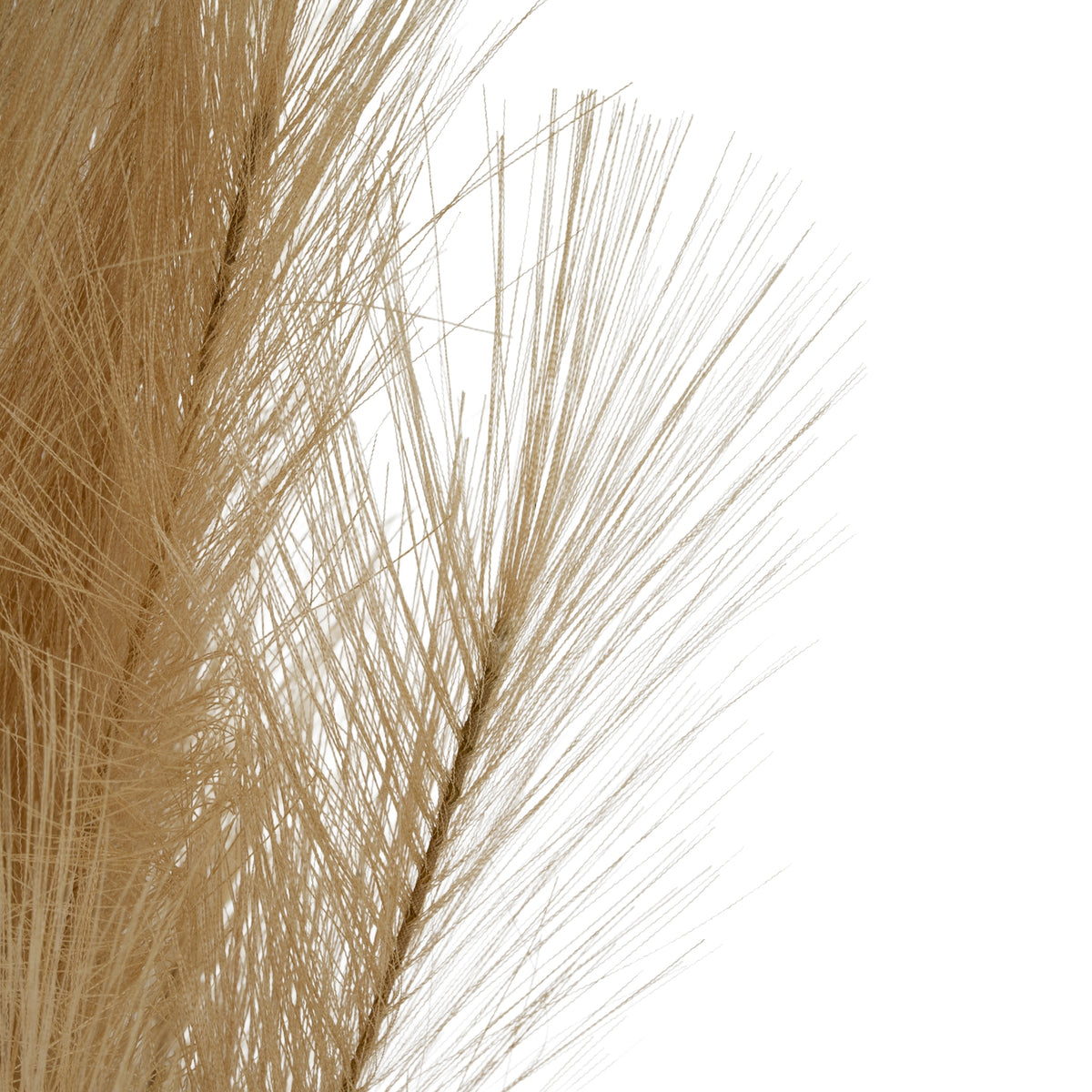 Large Faux Pampas Grass Stem