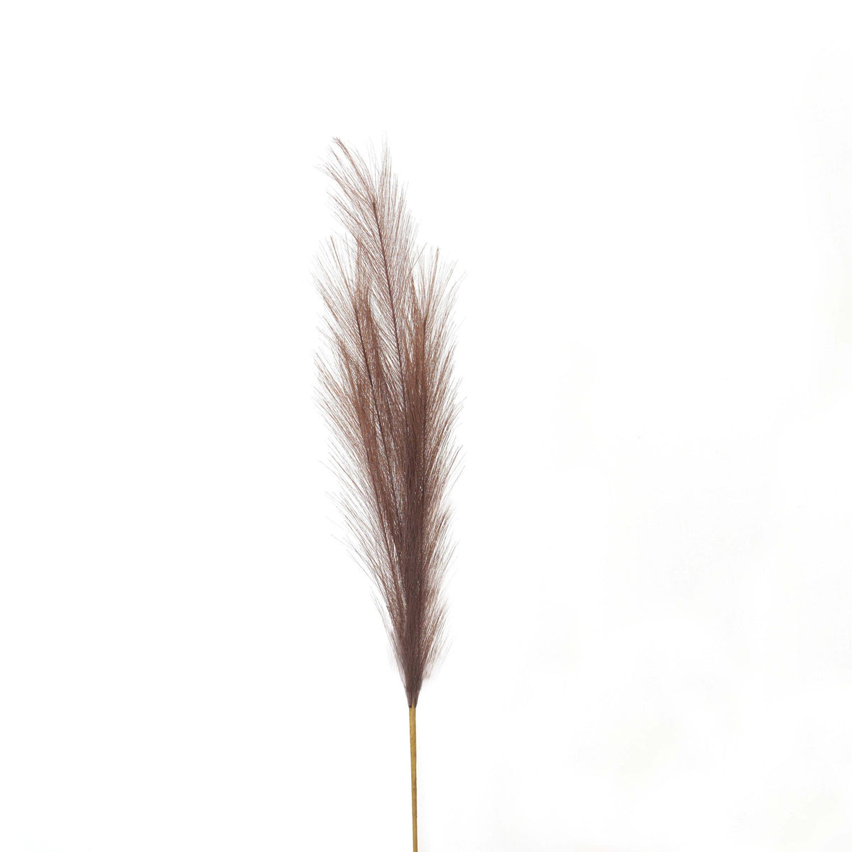 Taupe Faux Pampas Grass Stem - BROWN