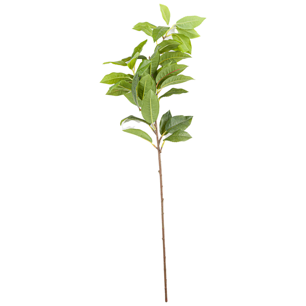Laurel Leaf Spray - GREEN