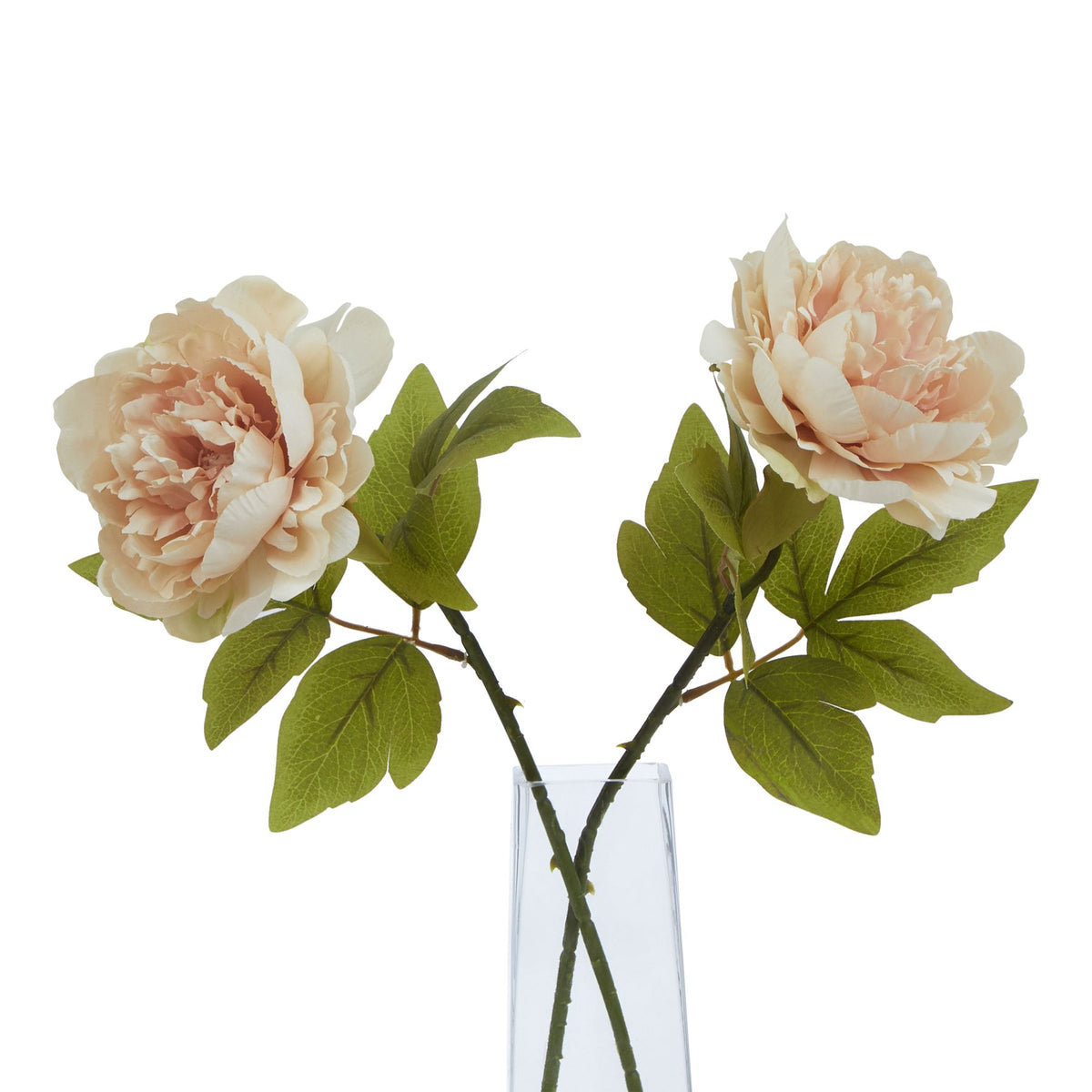 The Natural Garden Collection Blush Peony - PINK
