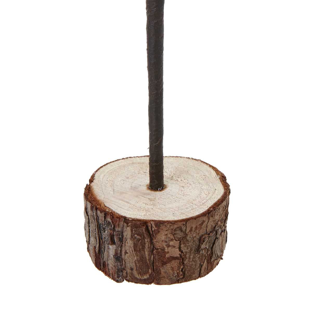 Medium Snowy Spindle Tree In Wood Log - BROWN