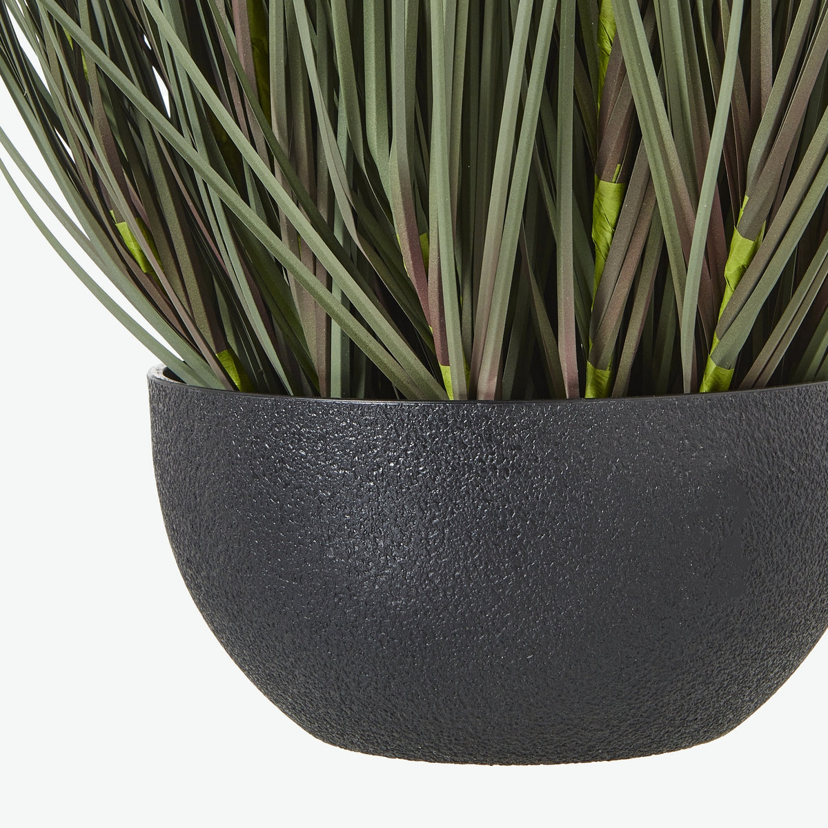 Large Fountain Grass Plant In Pot - GREEN
