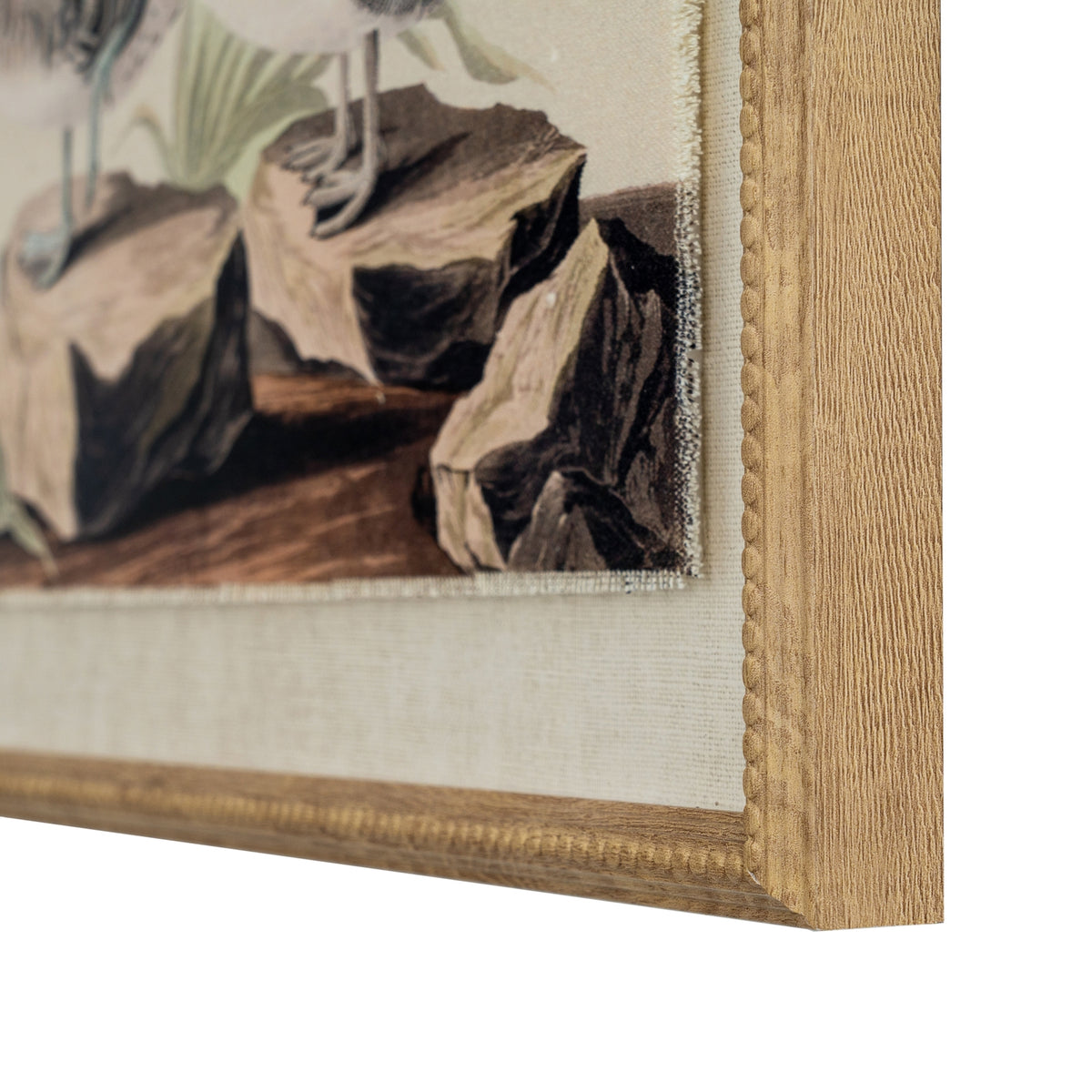 Flora & Fauna Collection Teals On Linen In Beaded Frame - BROWN