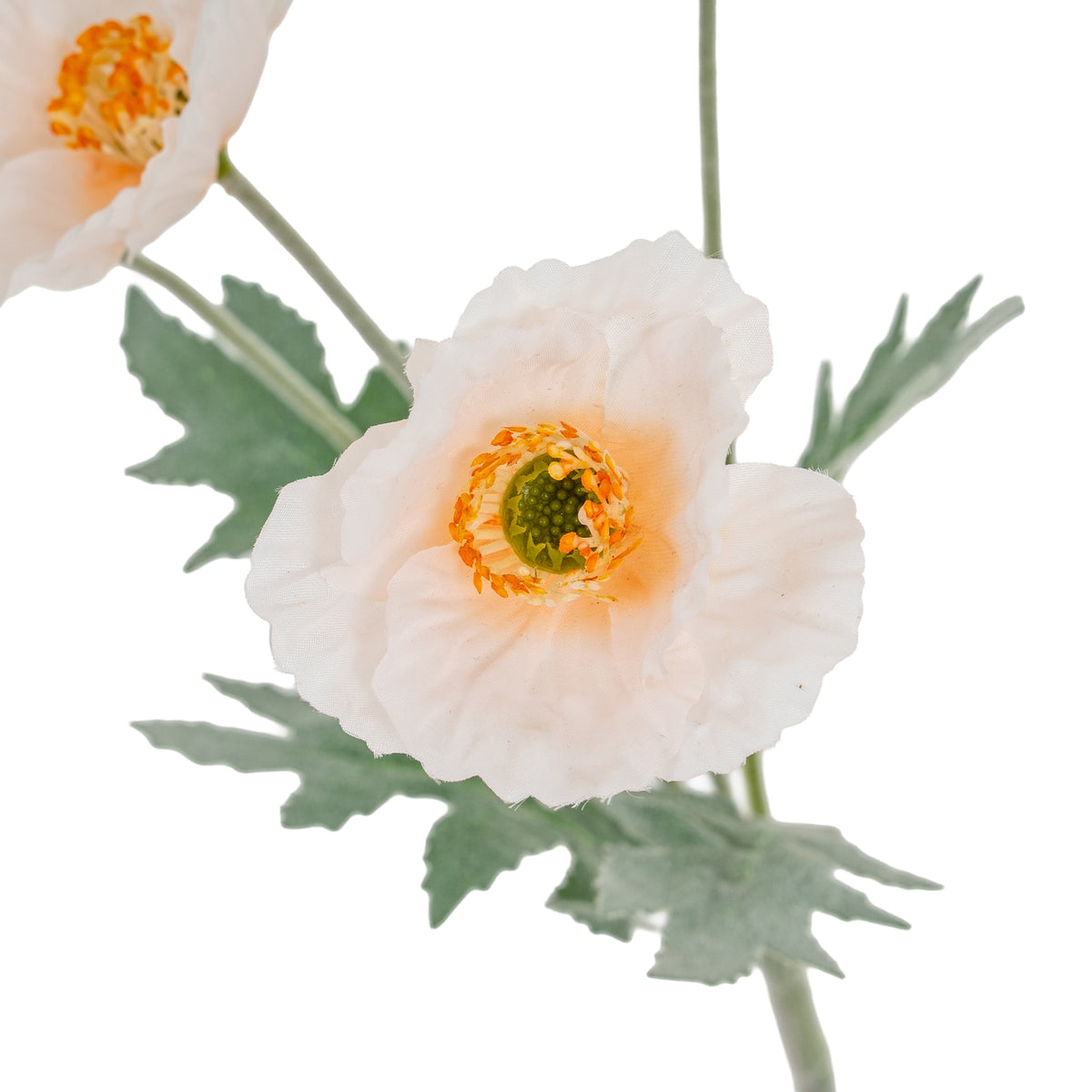 Cream Papaver Poppy Spray - WHITE