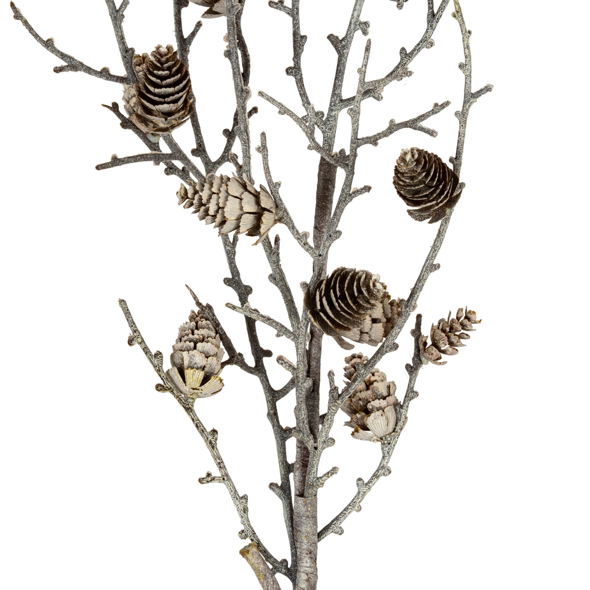 Snowy Winter Woodland Branch With Pinecones - WHITE