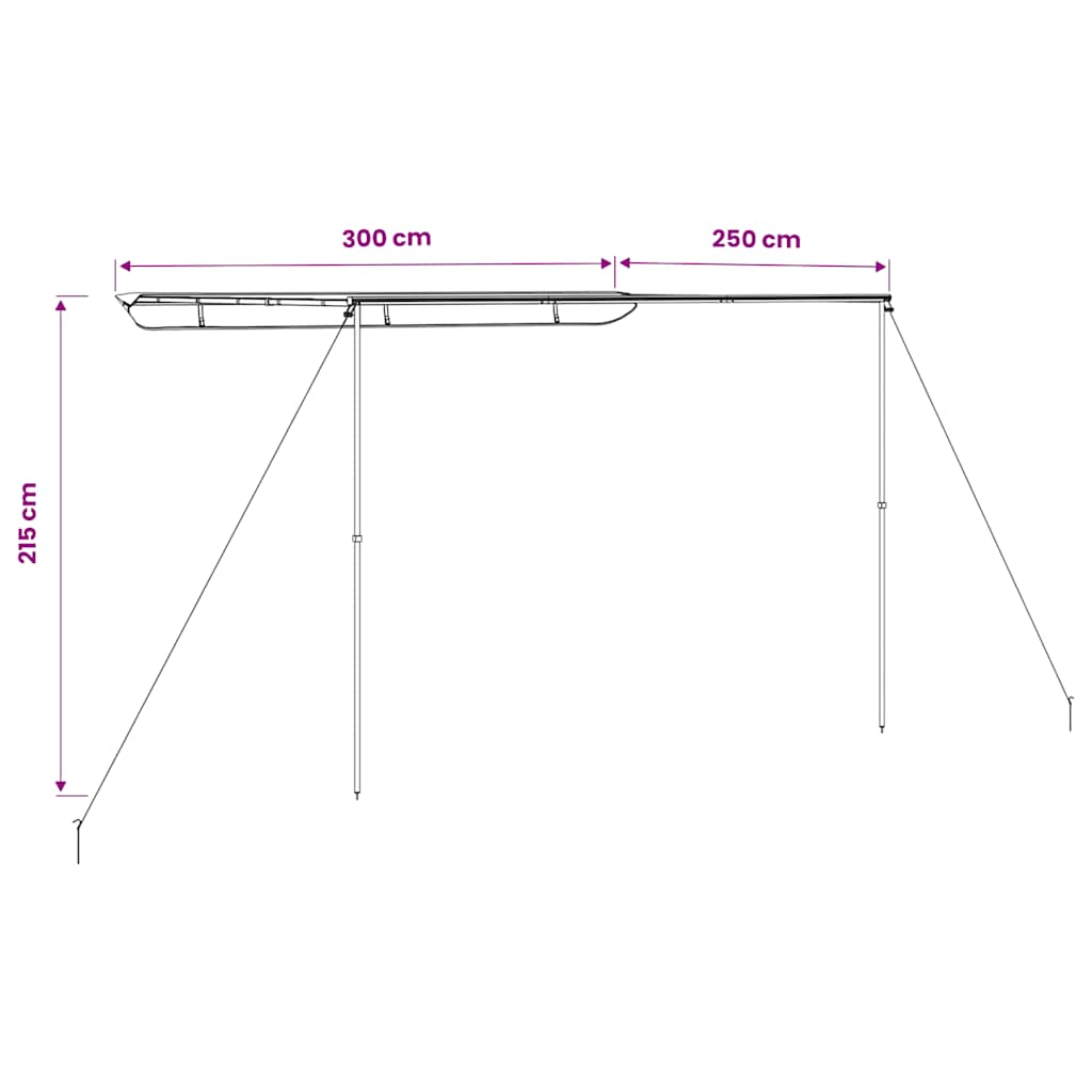 vidaXL Camper & Caravan Awning 3x2.5x2.15 m Beige