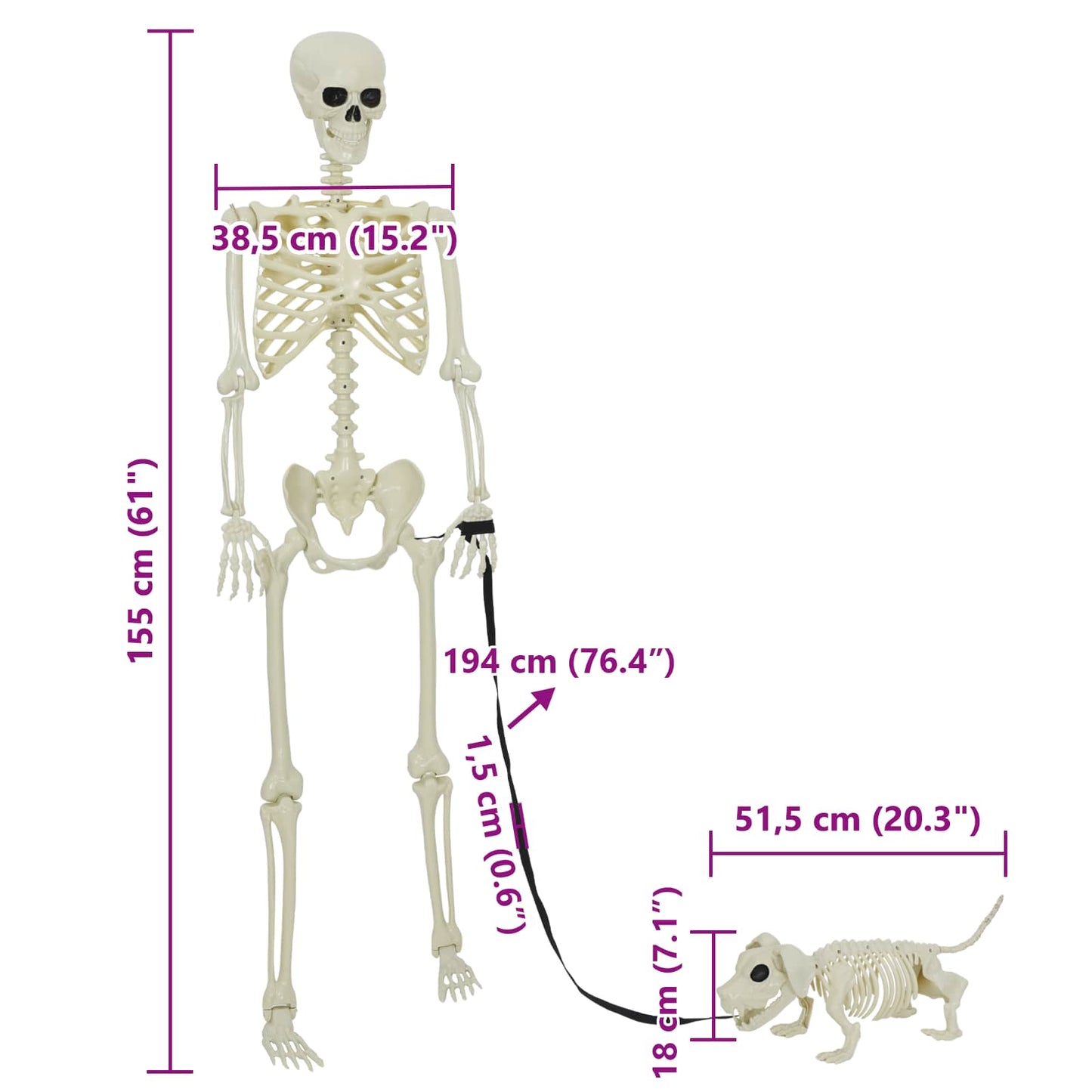 vidaXL Halloween Decoration Skeleton 2 pcs White 155 x 38.5 cm