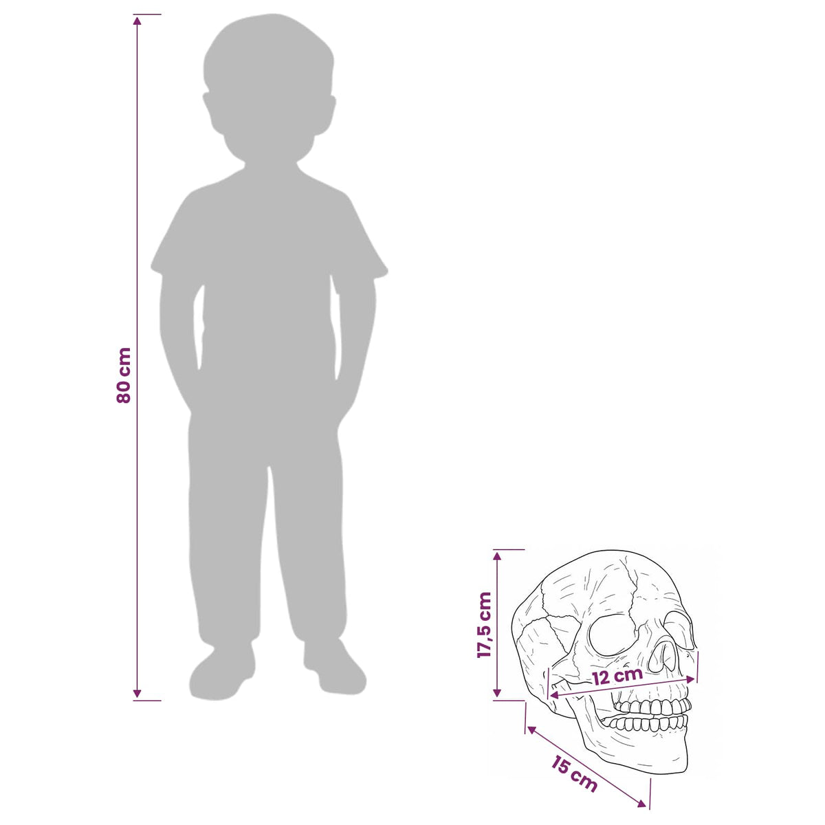 vidaXL Halloween Skull SPOOKA 2 pcs White 12 x 15 x 17.5 cm Plastic