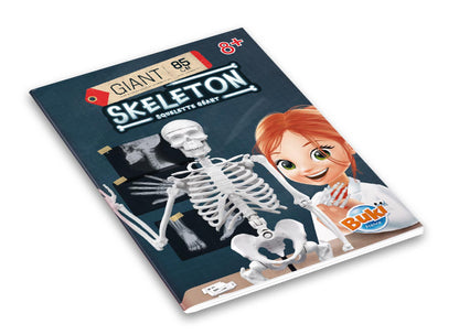 Skeleton 85cm