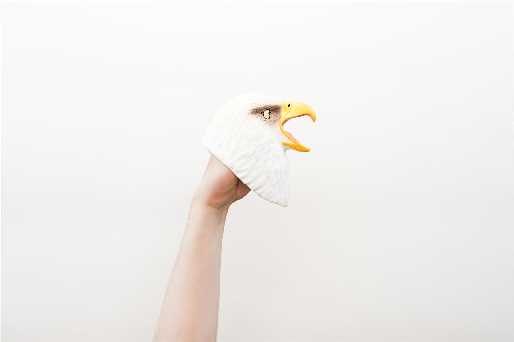Wild Thingz Hand Puppet - White Eagle
