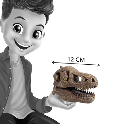 Dinosaur Skull - Tyrannosaurus