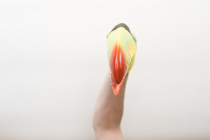Wild Thingz Hand Puppet - Green Toucan