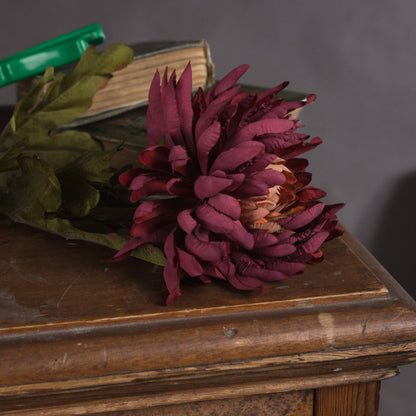 Autumn Spider Chrysanthemum - PURPLE