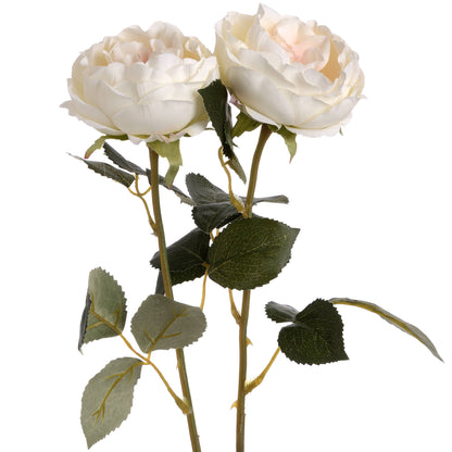 Blush Garden Rose - PINK