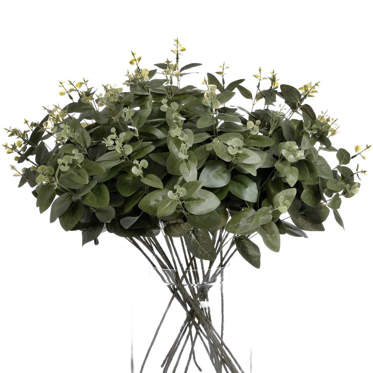 Cineraria Eucalyptus Spray - GREEN