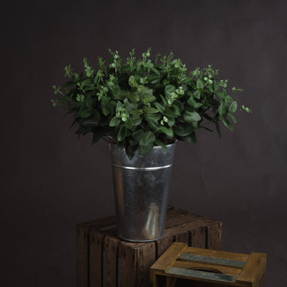 Cineraria Eucalyptus Spray - GREEN