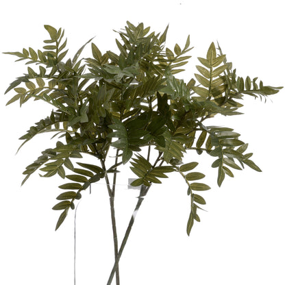 Pistach Bunch - GREEN