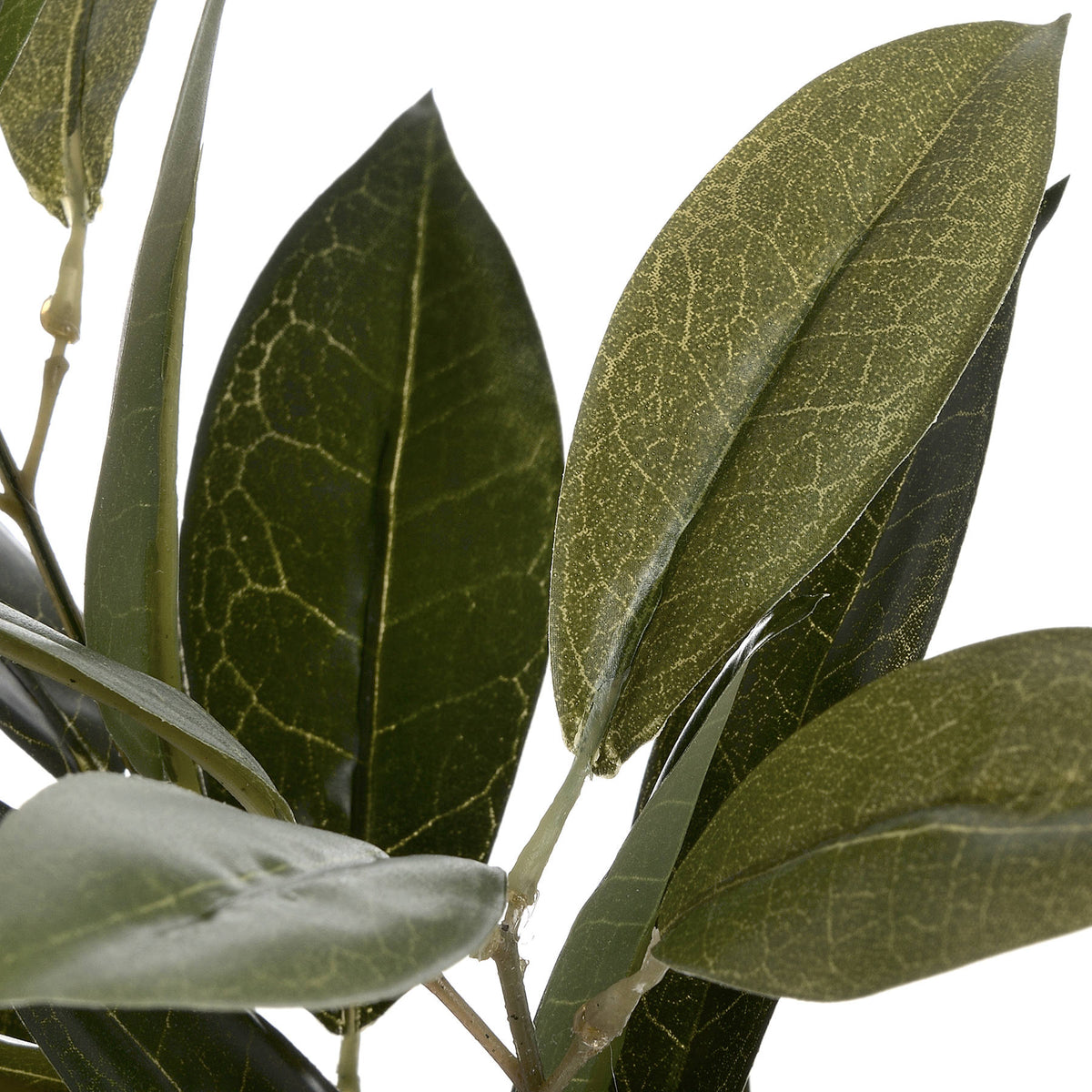Faux Bay Leaf Spray - GREEN