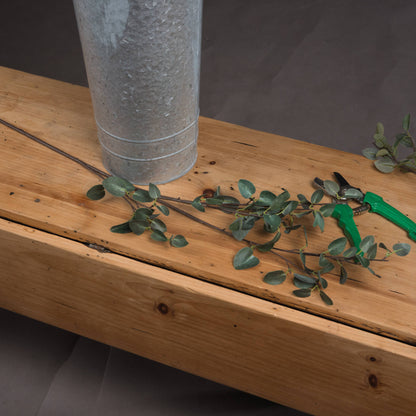 Tall Eucalyptus Stem - GREEN