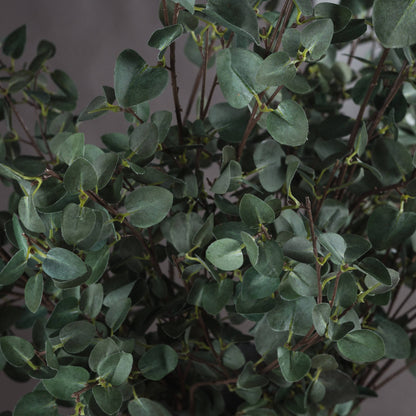 Tall Eucalyptus Stem - GREEN