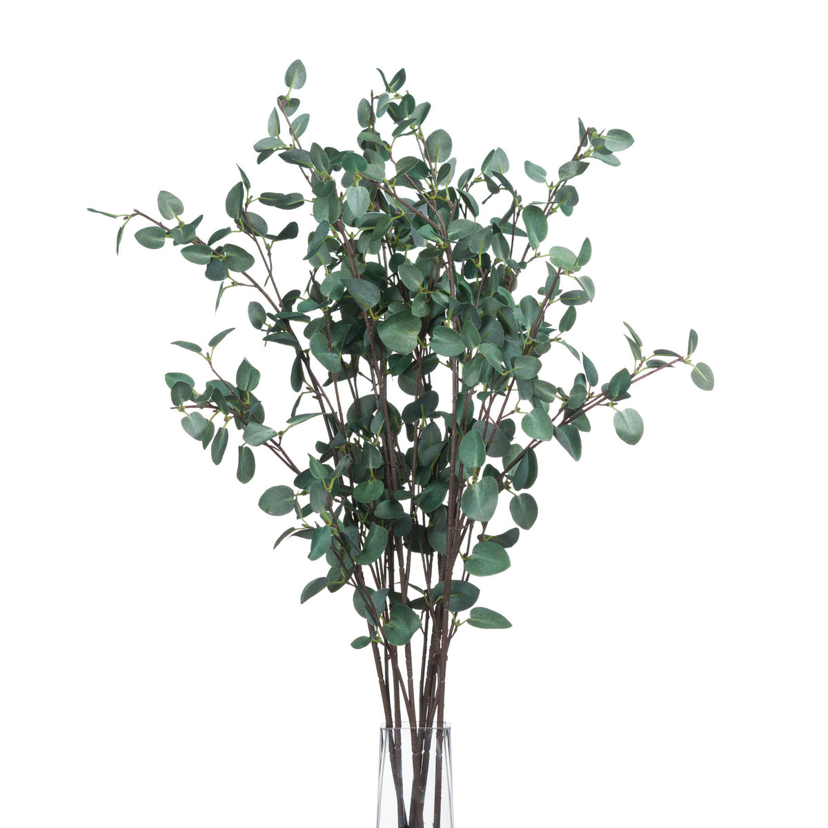 Tall Eucalyptus Stem - GREEN
