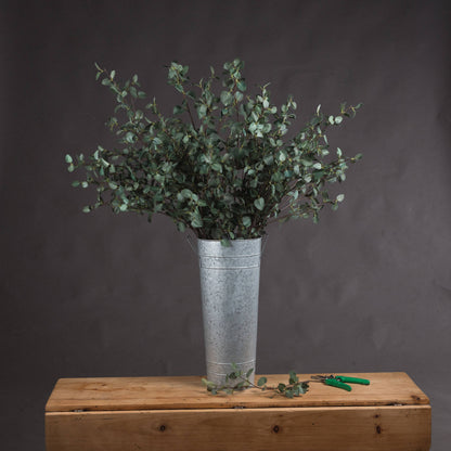 Tall Eucalyptus Stem - GREEN