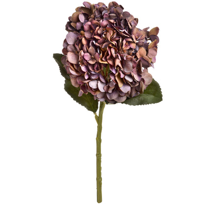 Autumn Coffee Hydrangea - RED