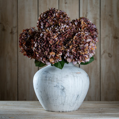 Autumn Coffee Hydrangea - RED