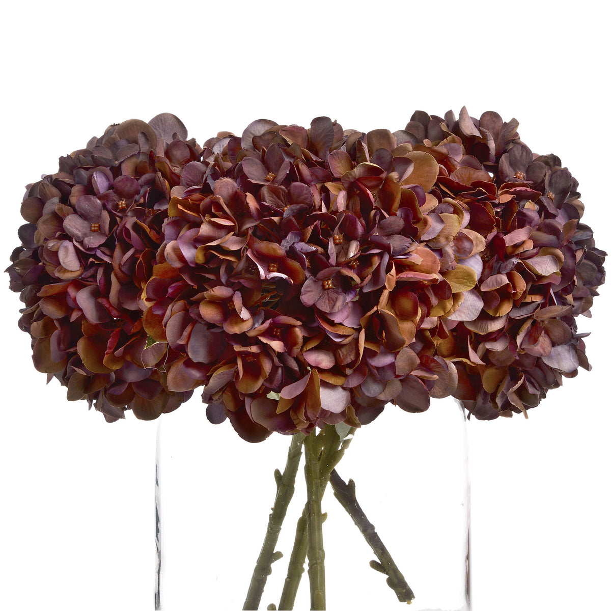 Autumn Coffee Hydrangea - RED