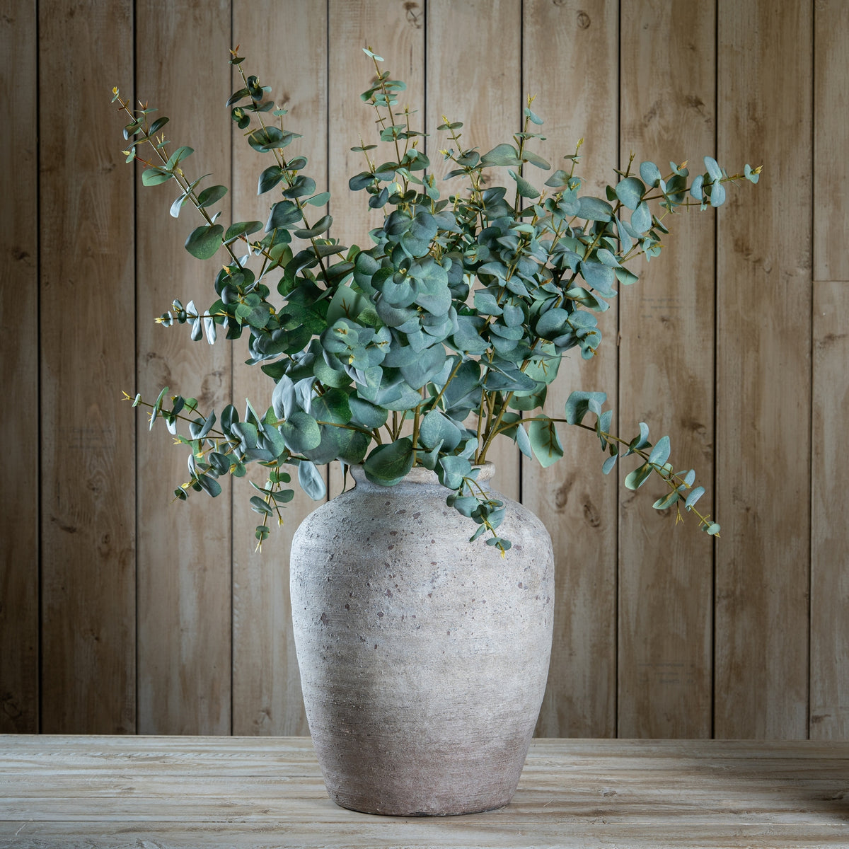 Variegated Eucalyptus - GREEN