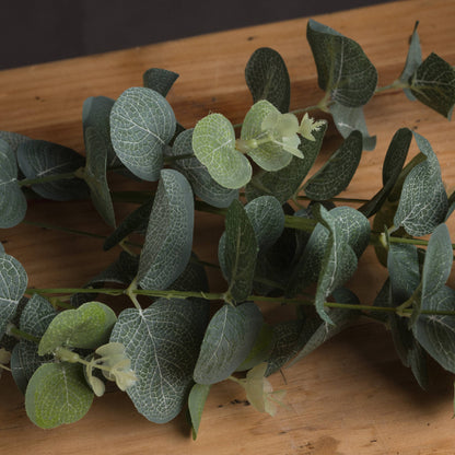 Eucalyptus Spray - GREEN