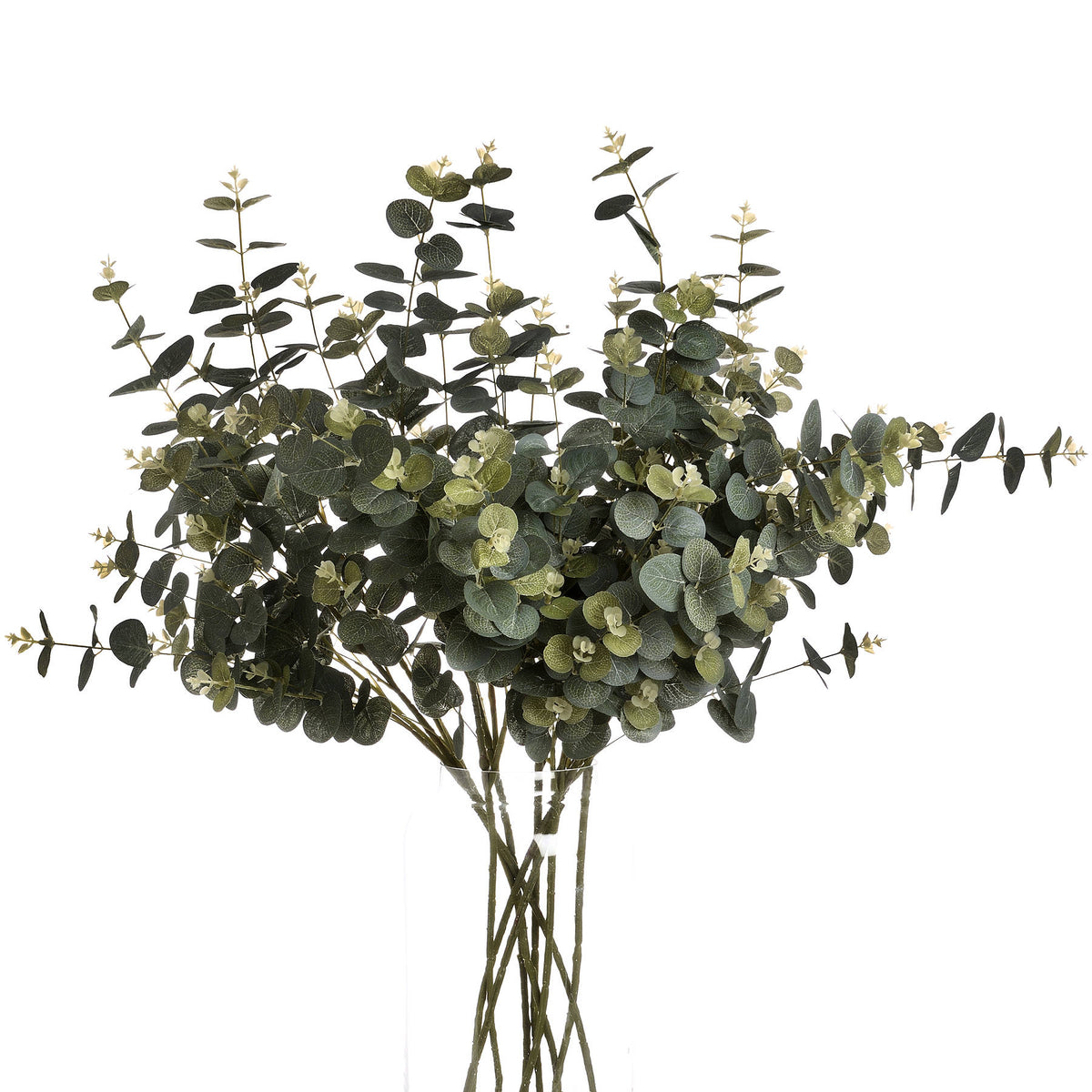 Eucalyptus Spray - GREEN