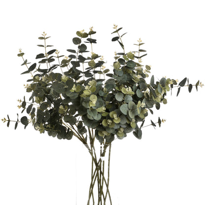 Eucalyptus Spray - GREEN