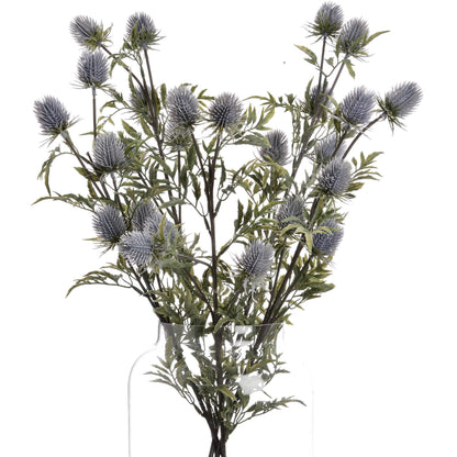 Eryngium Thistle - GREY