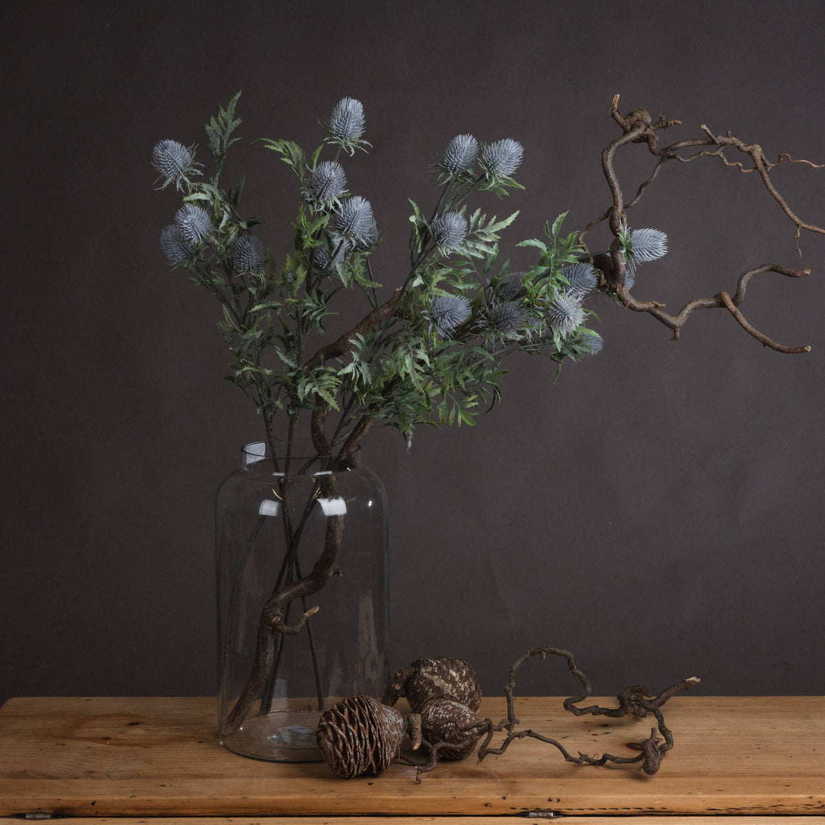 Eryngium Thistle - GREY
