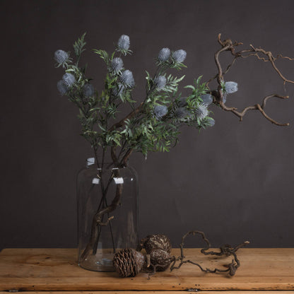 Eryngium Thistle - GREY