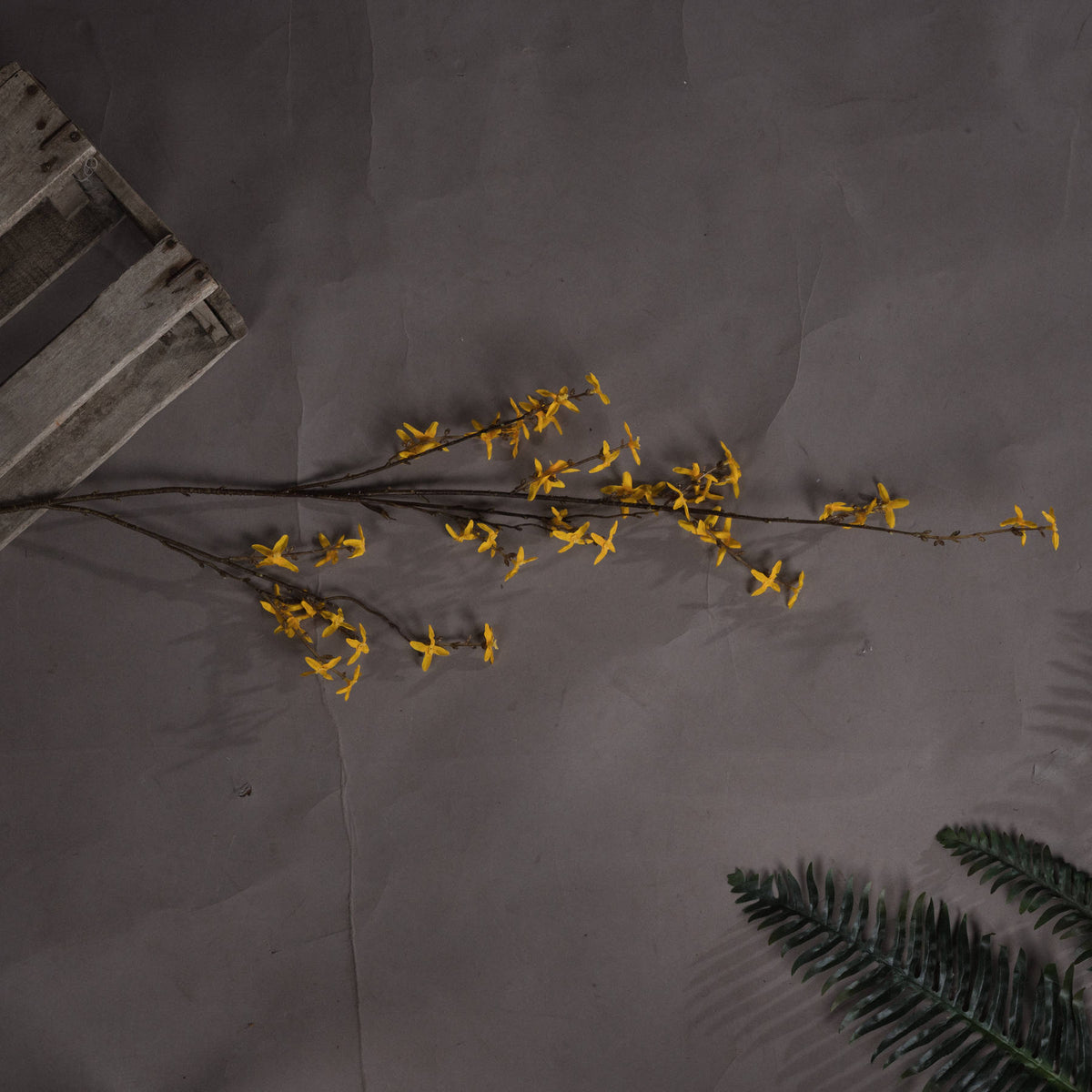 Forsythia - YELLOW