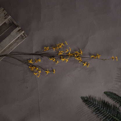 Forsythia - YELLOW