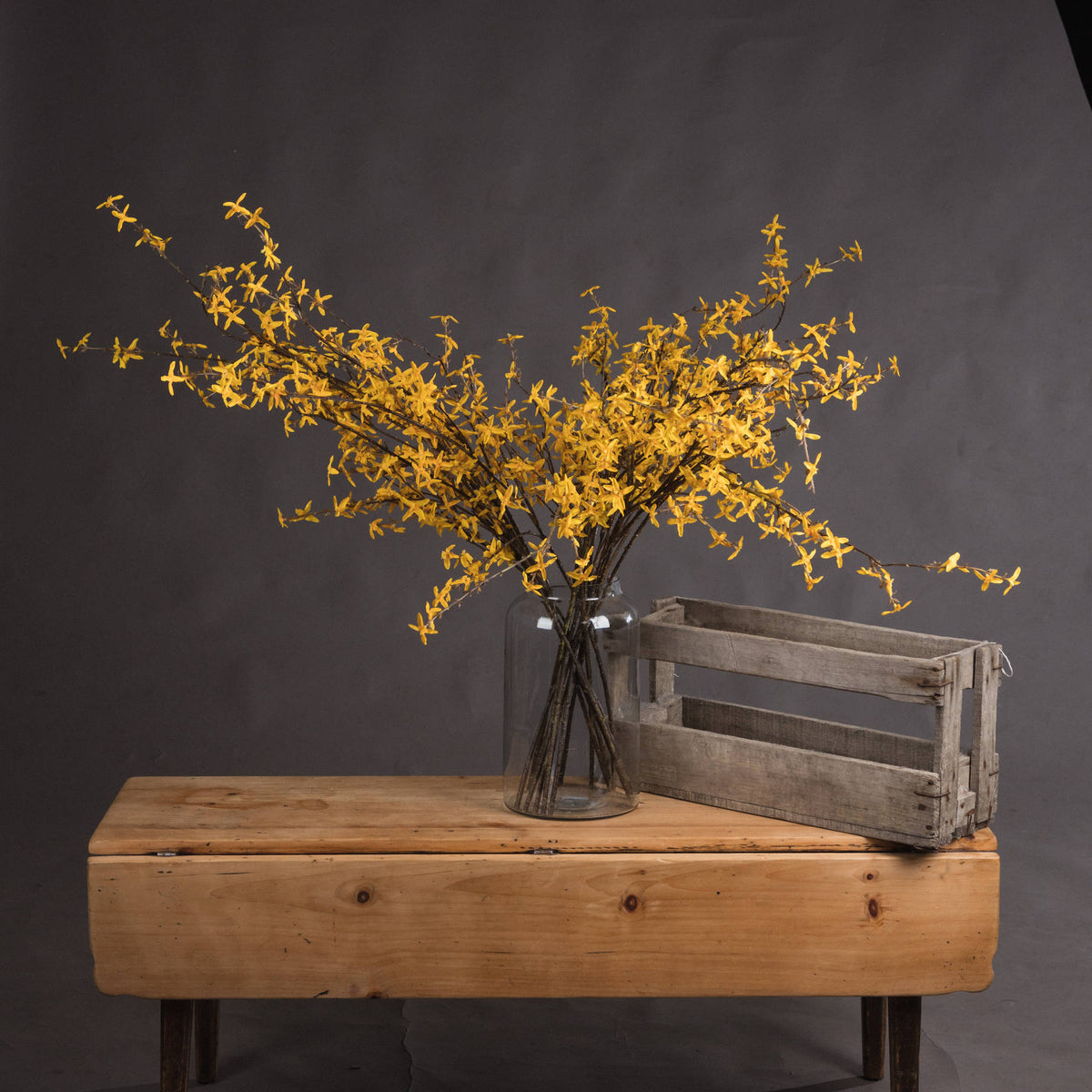 Forsythia - YELLOW