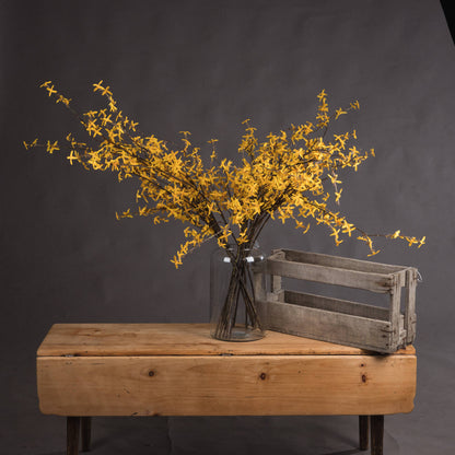 Forsythia - YELLOW