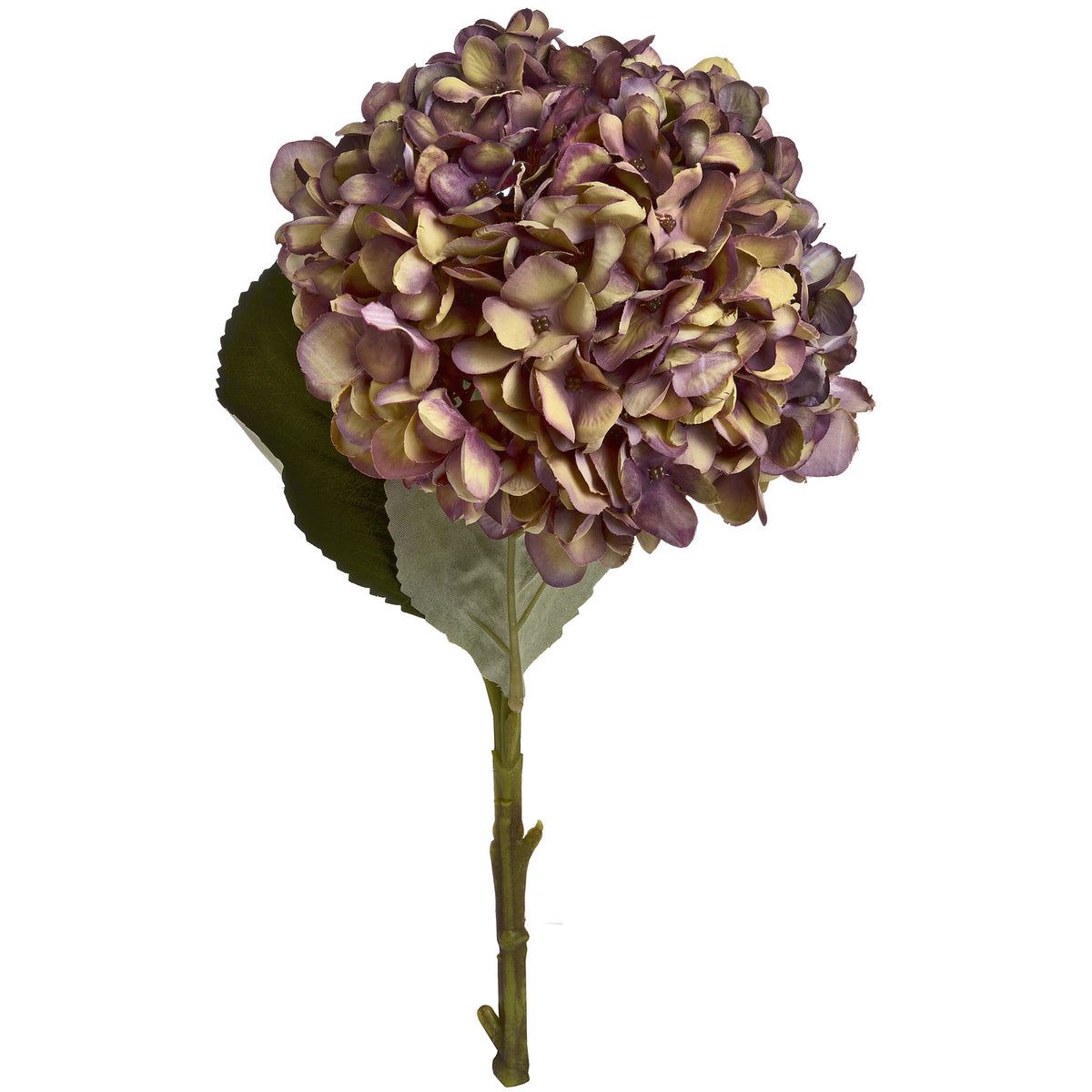 Autumn Burgundy Hydrangea - RED