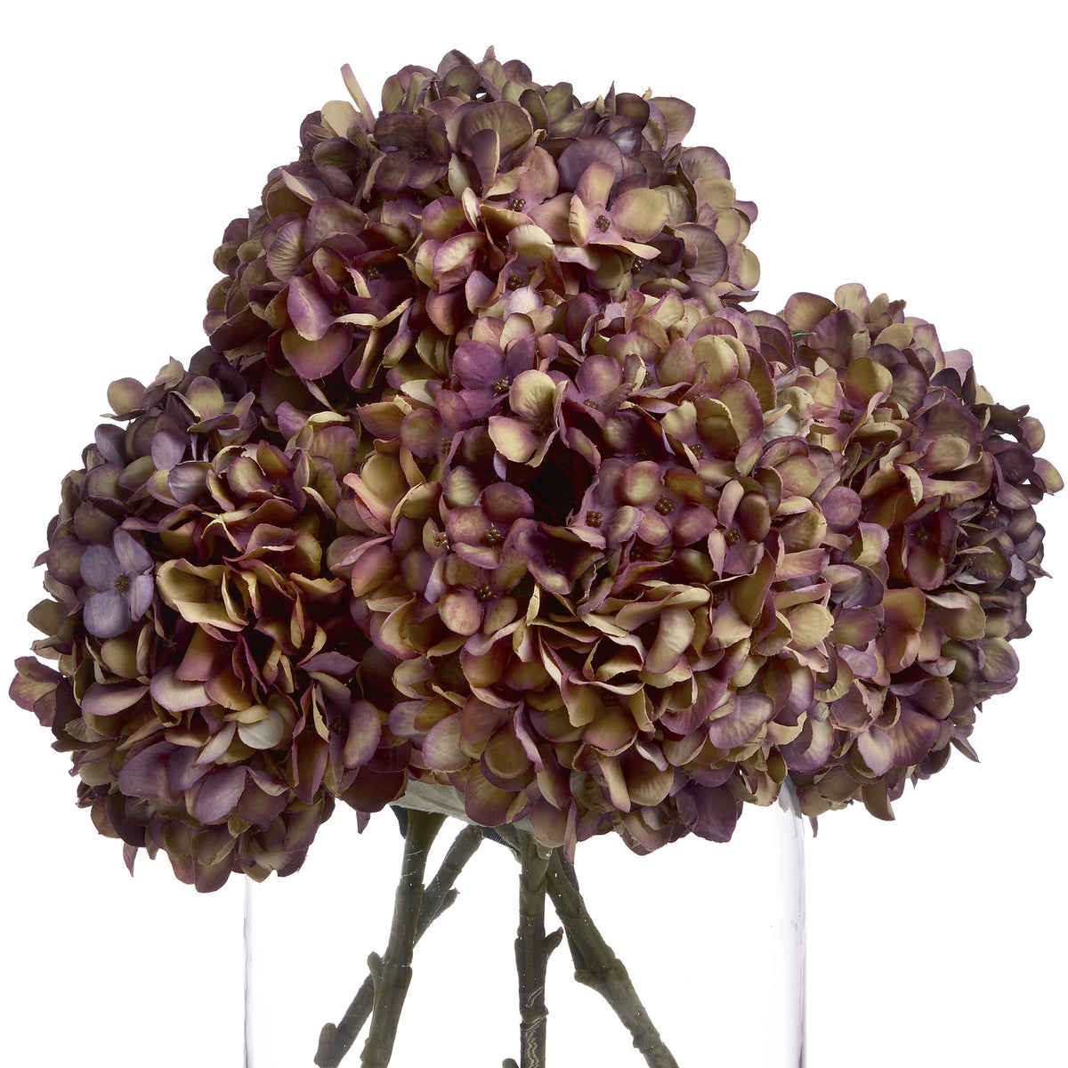 Autumn Burgundy Hydrangea - RED