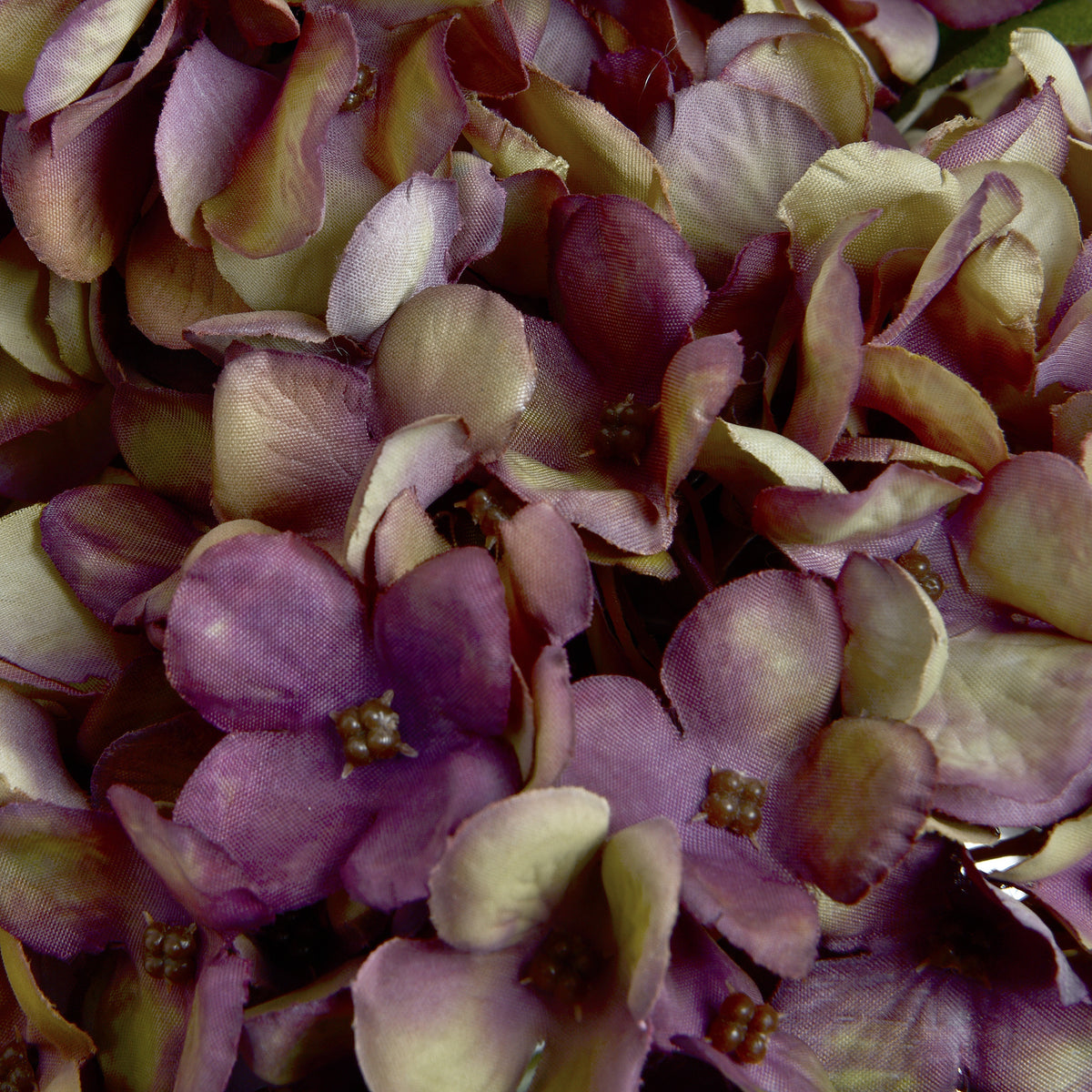 Autumn Burgundy Hydrangea - RED