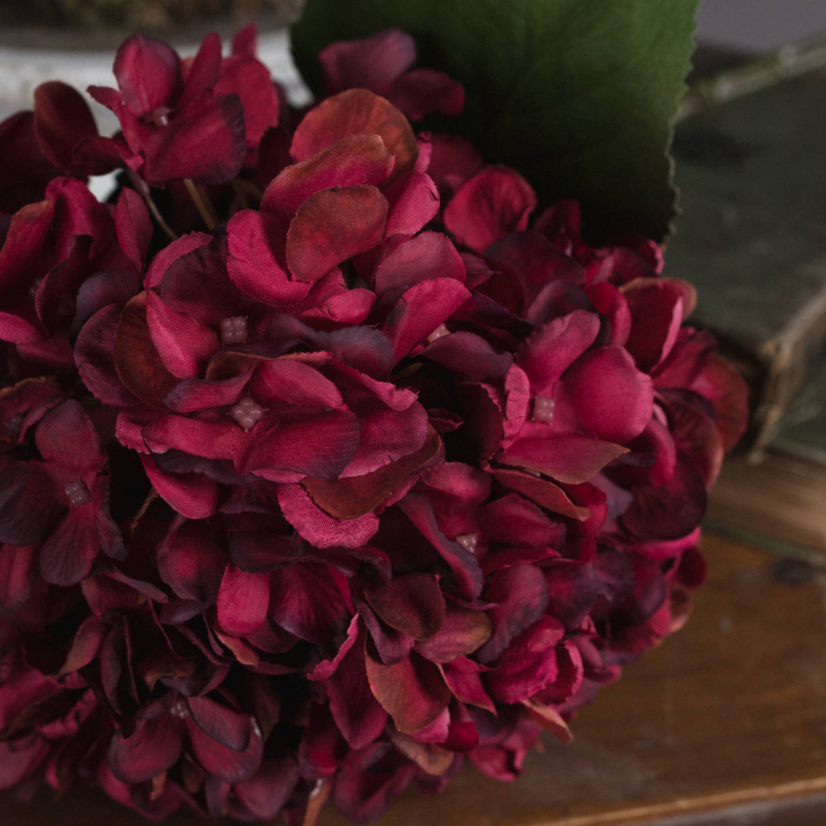 Autumn Ruby Hydrangea - RED